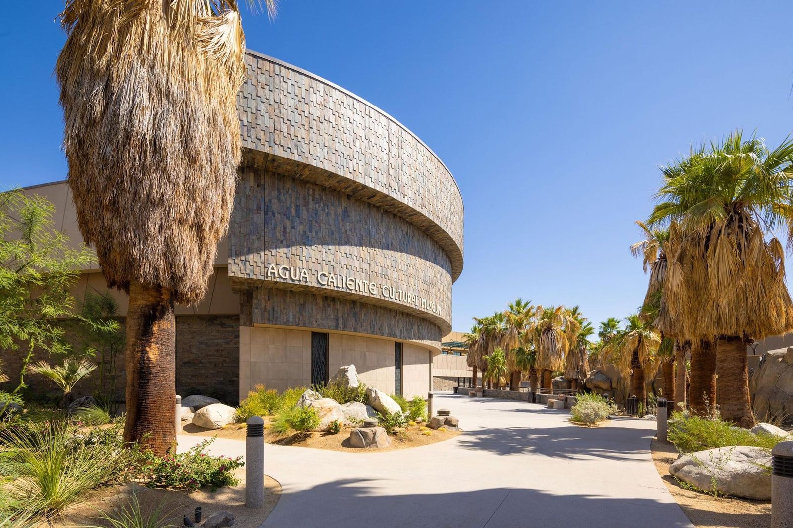 The curved, textured stone wall of the Agua Caliente Cultural Museum rises behind fan palms, boulders and desert plantings under a deep blue sky.
