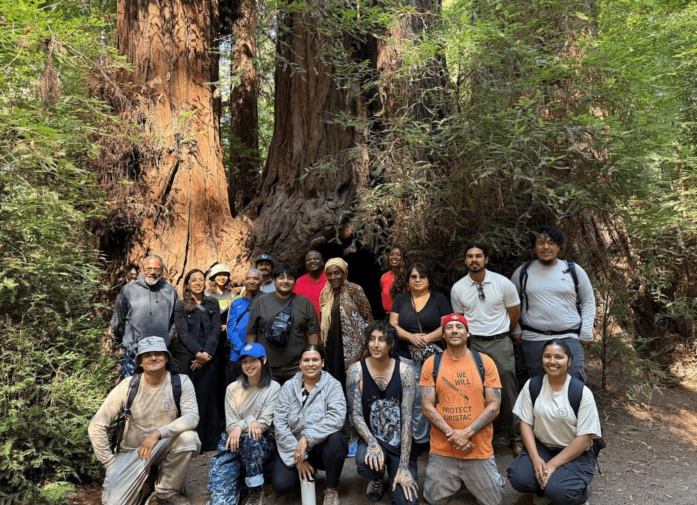About twenty people gather in front of a huge redwood trunk in a forest, some kneeling in front, most in hiking clothes and hats.
