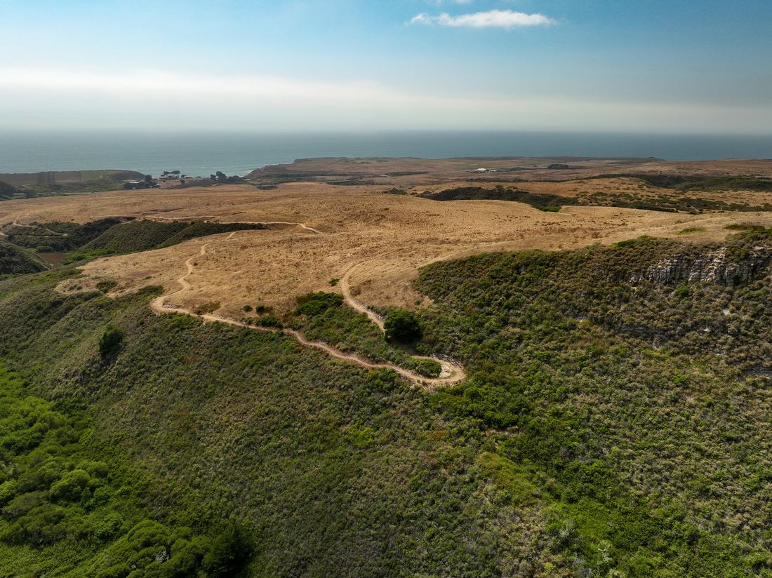 An aerial view of a winding dirt trail through green coastal scrub, rising to golden marine terraces that run out to the Pacific under a hazy sky.