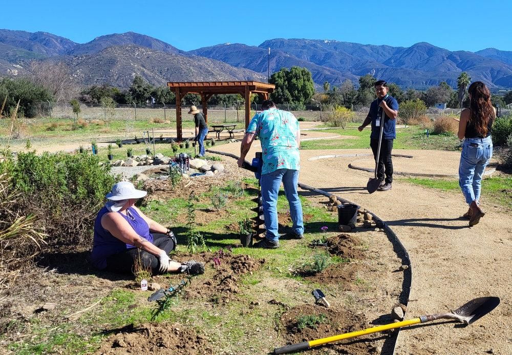 People plant native plants beside a curving path in a garden with a wooden shade structure, mountains under a clear blue sky behind them.