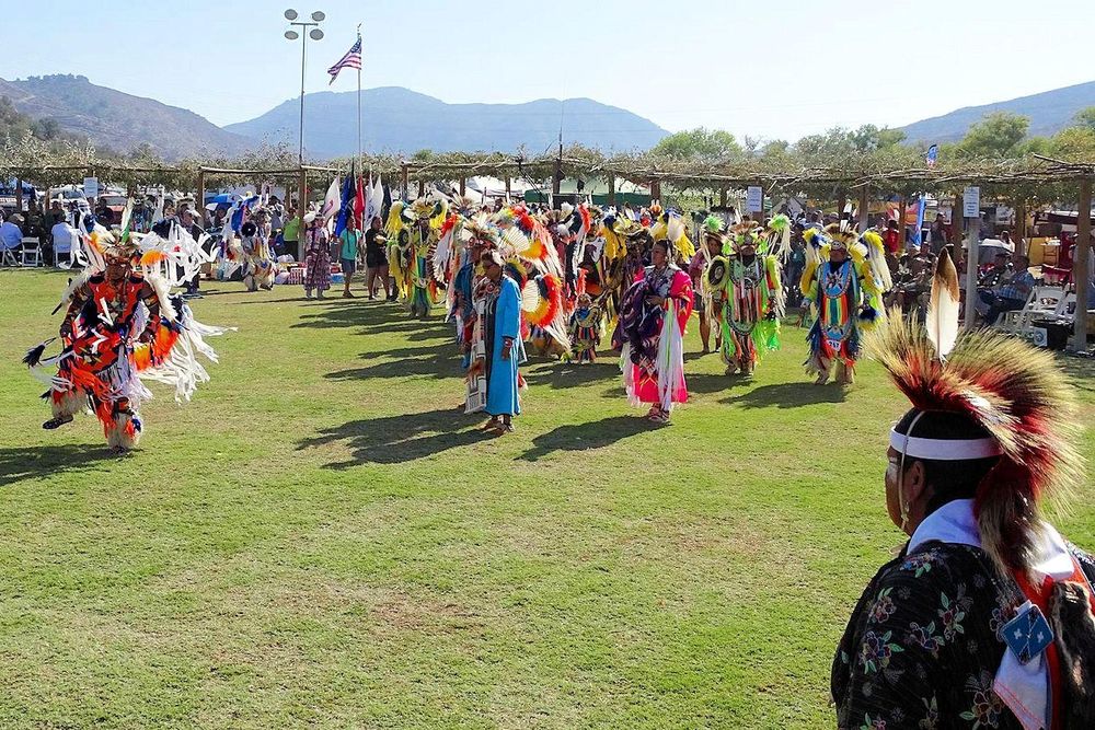 Dancers in bright regalia process across a grass arena beside a long shade arbor, mountains and a flagpole behind; in the foreground stands a dancer in a feathered roach.