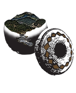 Sípnuuk Digital Library, Archives and Museum logo